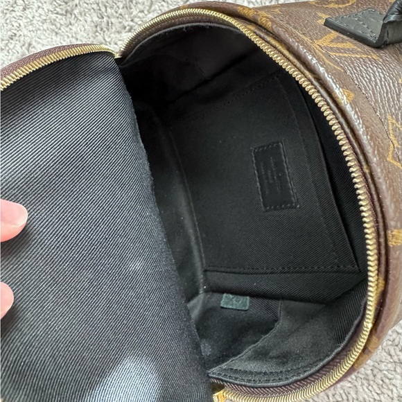 Louis Vuitton Mini Palm Springs Backpack main image 8
